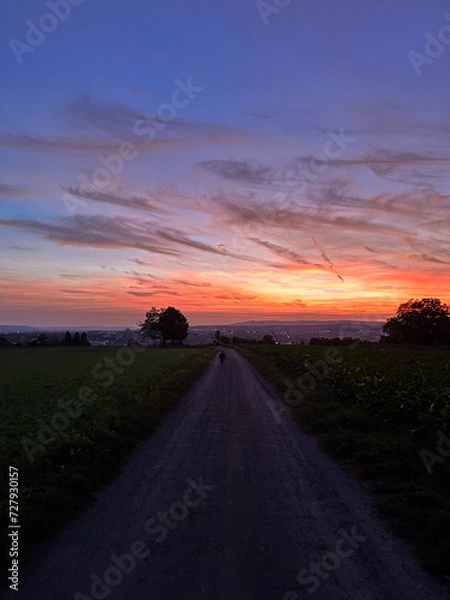 Obraz Sunset over fields and cityscape with boy walking on path
