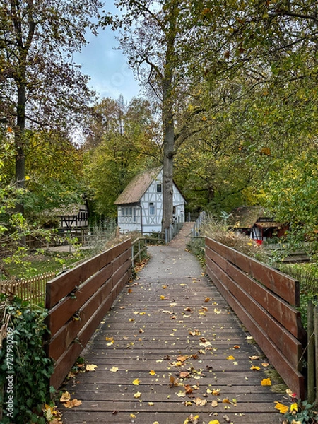Obraz Tiny village in the woods