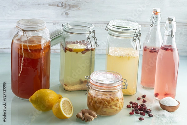 Obraz Kobucha, water kefir and ginger ale - fermentation