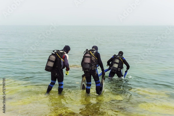 Fototapeta Group of scuba divers