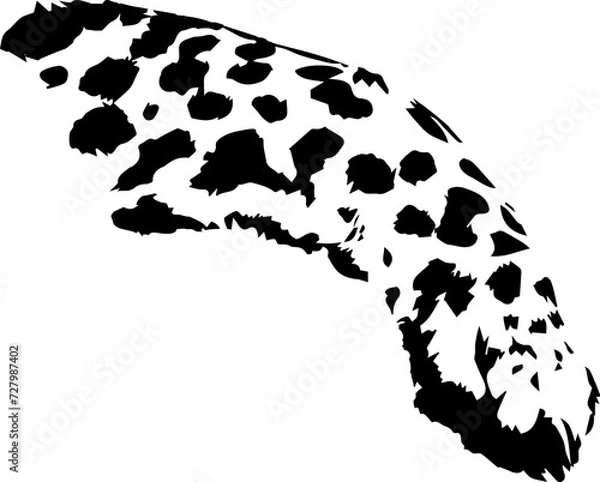 Obraz Vector cheetah spotted paw. Black, isolated on white. Element for design card, poster, illustration about wild , african nature