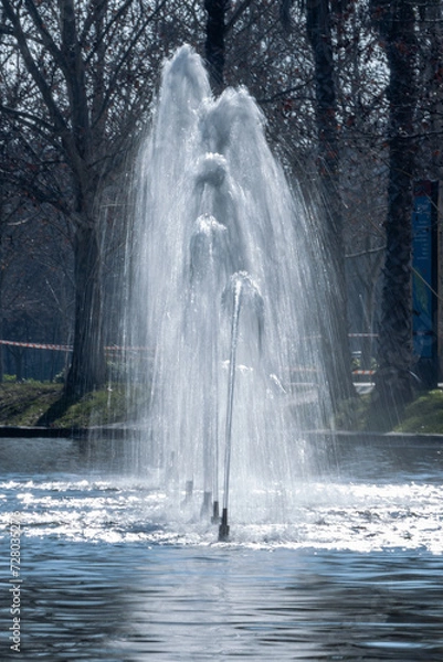 Fototapeta chorros de agua en fuente sobre un lago