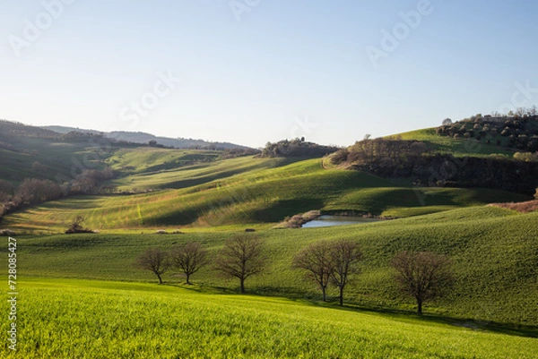 Fototapeta Beautiful Tuscany landscape in spring time with wave green hills and isolated trees. Tuscany, Italy, Europe