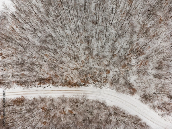 Fototapeta Top view of a winter forest. with a road in the middle of trees