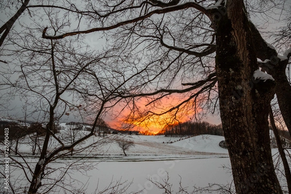 Fototapeta Winter landscape, with trees and hill covered by snow and warm, orange sunset sky