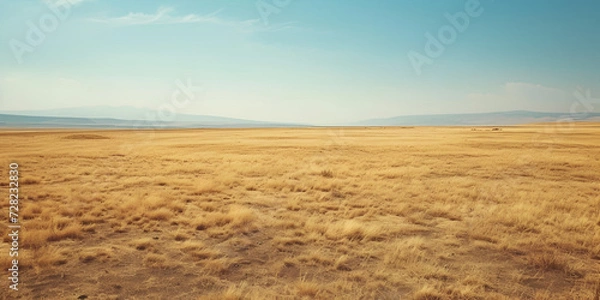 Obraz wheat field in the summer