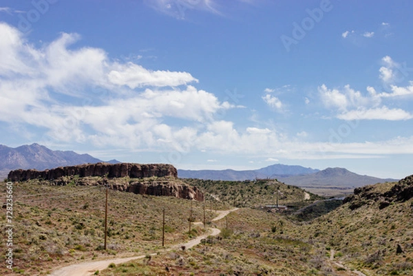 Fototapeta Desert in Arizona with green bushes and cacti on a sunny day with blue sky and white clouds. Nature near Phoenix, Arizona, USA