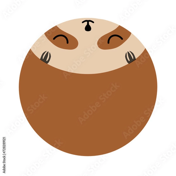 Obraz cute round shape sloth