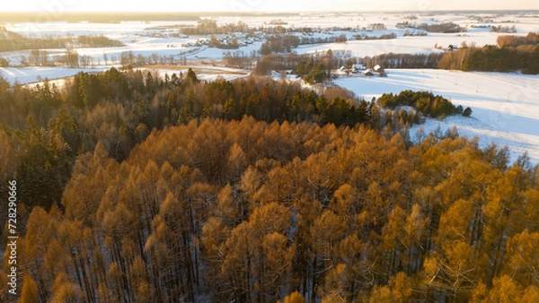 Obraz Rural winter landscape in Lithuania