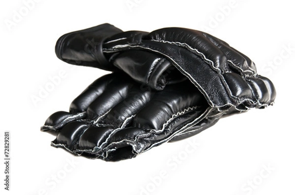 Obraz two mma boxing gloves