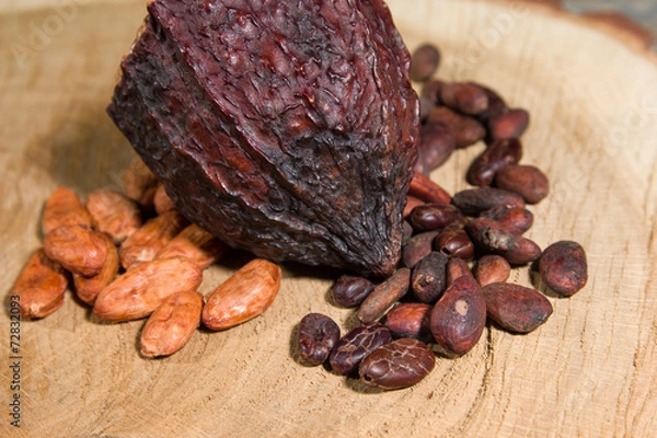 Obraz Cocoa beans