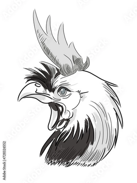 Fototapeta Sketch of a rooster in minimal colors. Color illustration for design