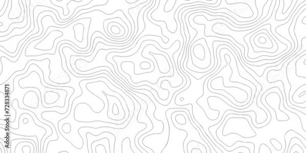 Fototapeta White wave paper curved reliefs abstract background black and white, Background of the topographic line map. Topographic map patterns abstract white topography vector background.