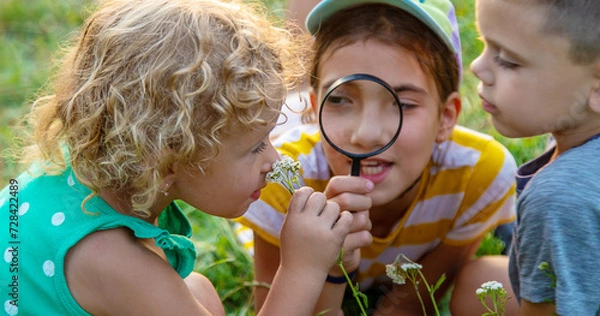 Fototapeta Children look through a magnifying glass together at the plants in the garden. Selective focus.