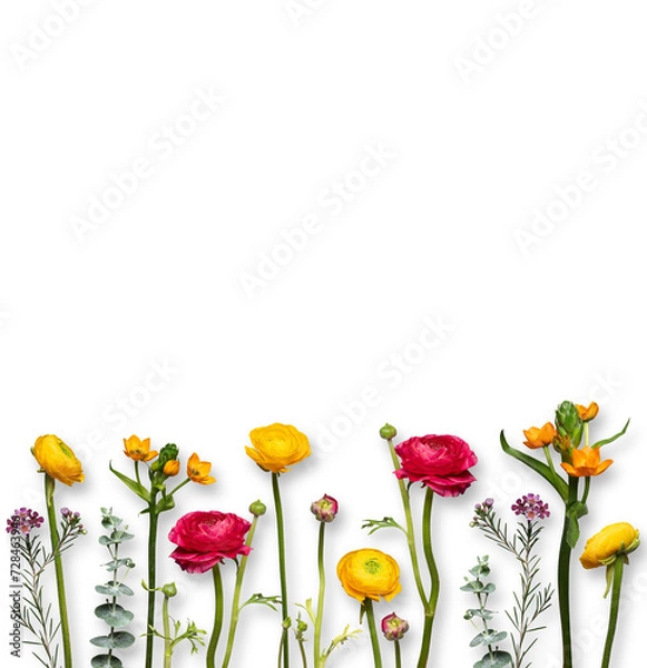 Fototapeta bunte, gelbe und rote farbenfrohe, fröhliche Blumen nebeneinander in einer Reihe freigestellt vor transparent Hintergrund. Platz für Text und copy space