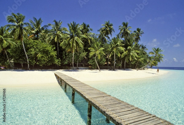 Obraz maldives