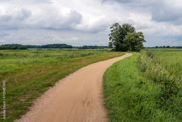 Fototapeta Curved sandy path through a Dutch peat meadow area in the province of North Brabant. It is summer but the sky is overcast.