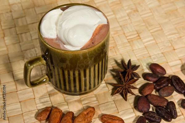 Obraz Hot cocoa