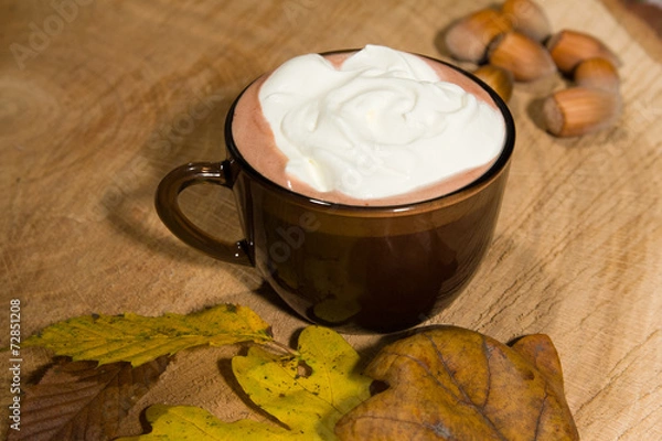 Obraz Hot cocoa