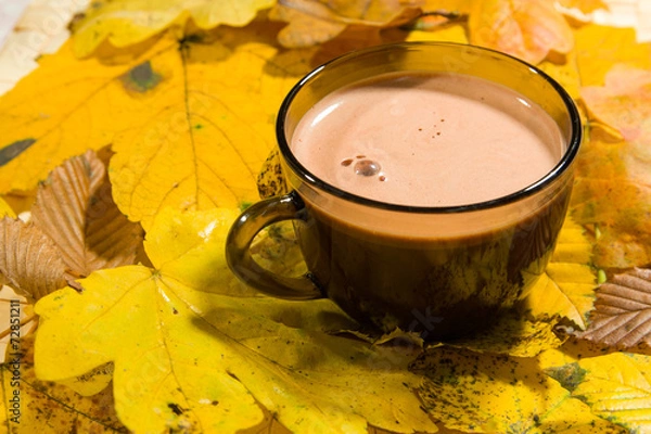 Obraz Hot cocoa