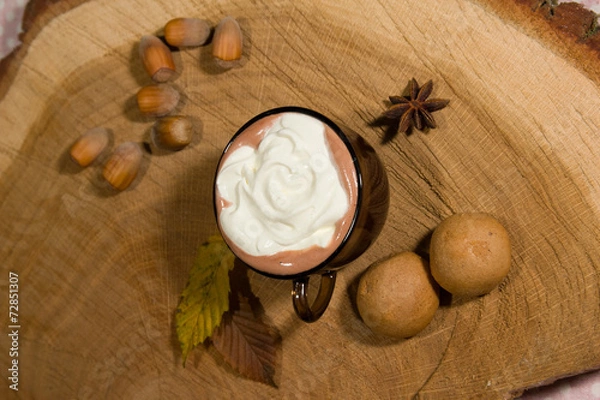 Obraz Hot cocoa