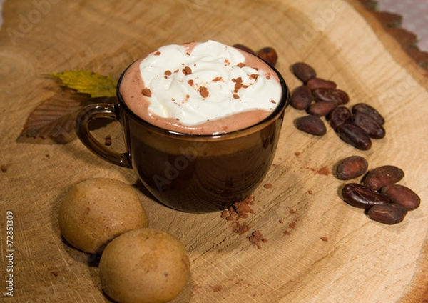 Obraz Hot cocoa