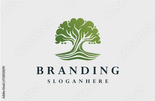 Obraz Tree logo style icon design template flat vector