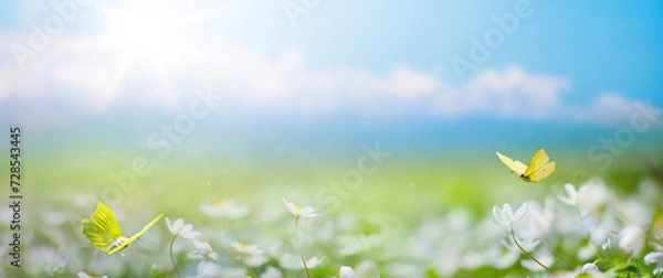 Fototapeta Art Beautiful blurred spring background nature with blooming glade, butterfly and blue sky on a sunny day