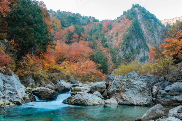 Fototapeta 秋の峡谷