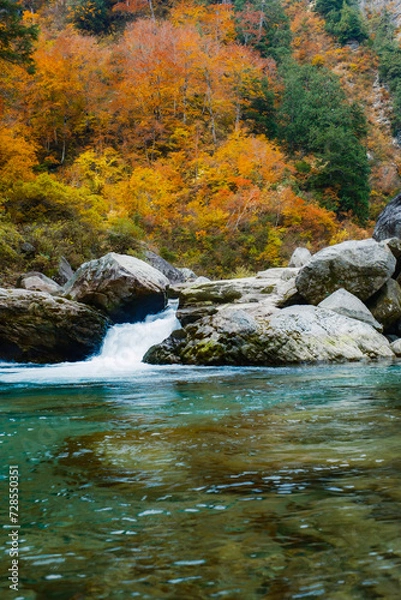 Obraz 秋の峡谷