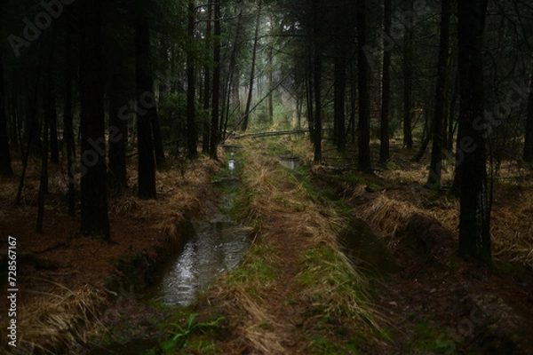 Obraz Waldlichtweg 23