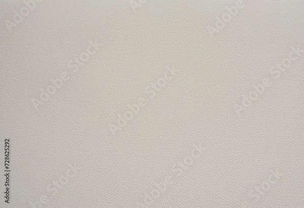 Fototapeta Light Dusty Beige Paper with a Delicate Embossed Surface. Light Warm Gray Clear Decorative Cardboard. Paper Texture. No text. Textured Rough Paper Layout. Elegant Paper Sheet with Soft Structure.