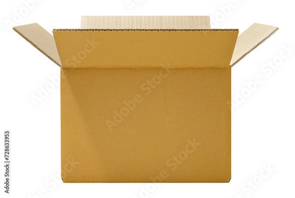 Obraz Corrugated cardboard box, front view, on transparent background