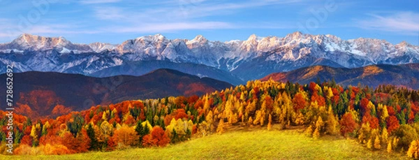 Obraz Picturesque panoramic view of an autumn forest in bright yellow, orange and red colors. Mountain peaks covered with snow in the background.