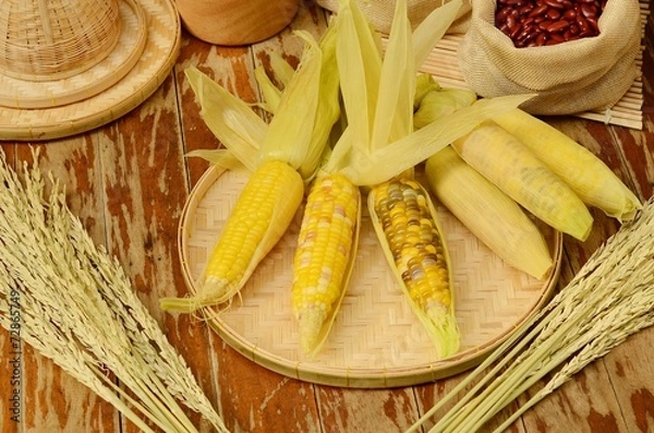 Obraz corns