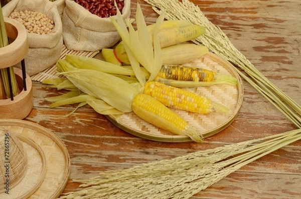 Obraz corns