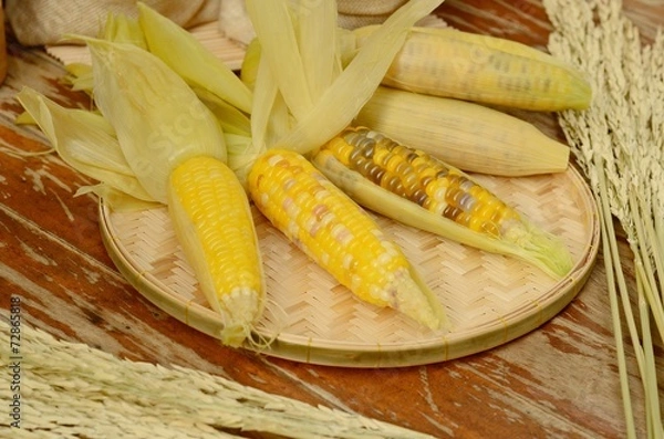 Obraz corns