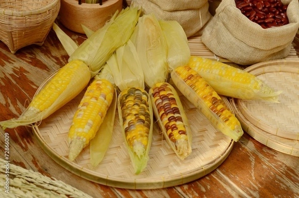Obraz corns