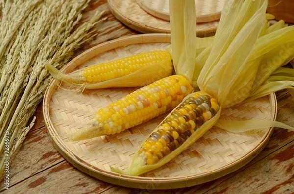 Obraz corns