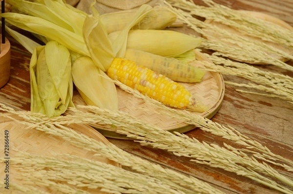 Obraz corns