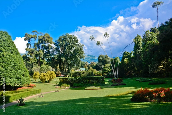 Fototapeta Royal Botanical Garden, Peradeniya Sri Lanka
