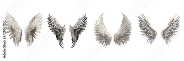 Fototapeta Set of white wings on a transparent background