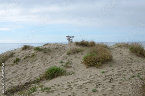 Fototapeta Cable Post and dune in Marbella beach