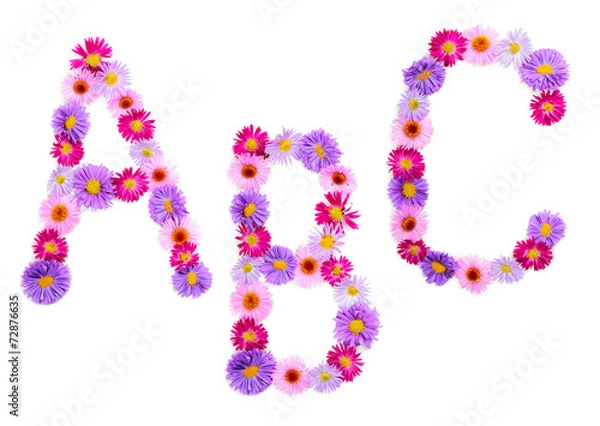 Obraz Flower alphabet