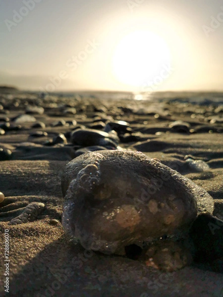 Obraz Wet Stone in the sundown 