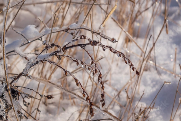 Obraz Eis und Schnee