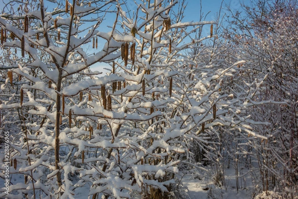 Obraz Eis und Schnee
