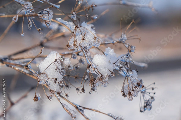 Obraz Eis und Schnee