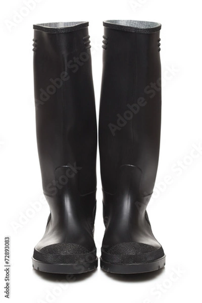Obraz Wellington boots on white