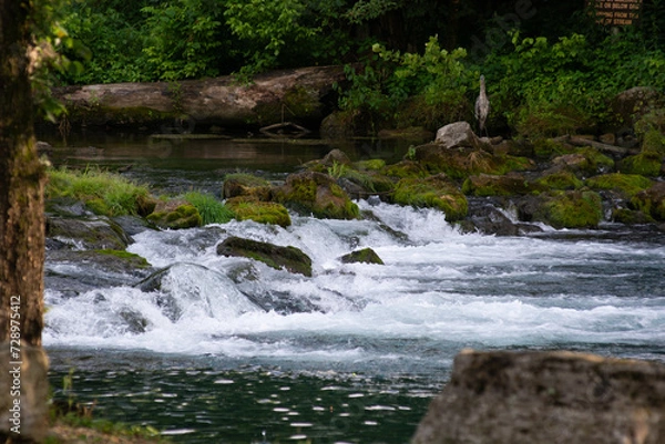 Fototapeta Waterfall